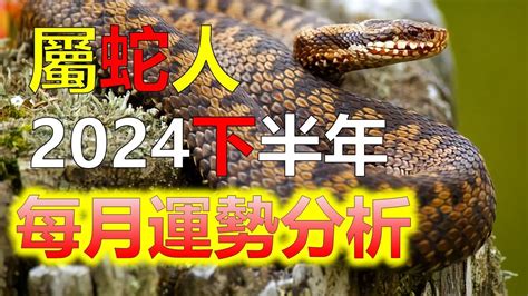 屬蛇適合的顏色|【屬蛇適合什麼顏色】屬蛇適合什麼顏色？三種熱門幸。